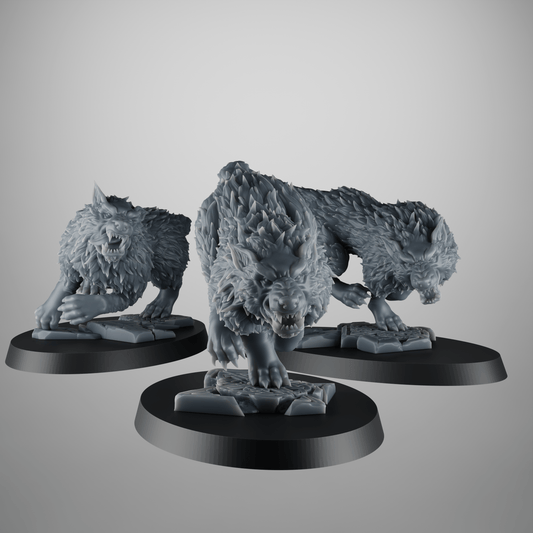 3 Skjoldfang Viking Wolves – Mounts or Companions for Grimdark Kitbash – 28mm / 32mm Scale
